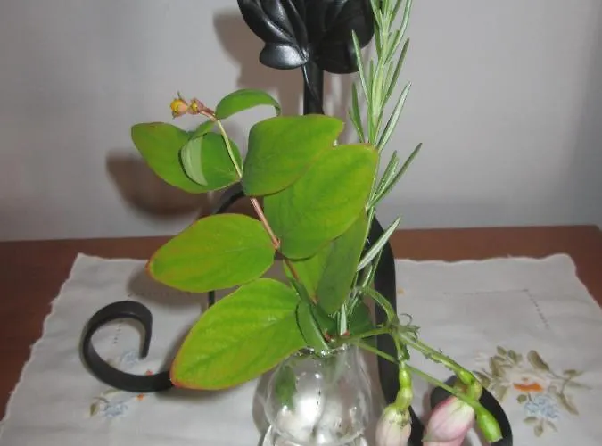 Pessego - Al Gospodarstwo agroturystyczne *