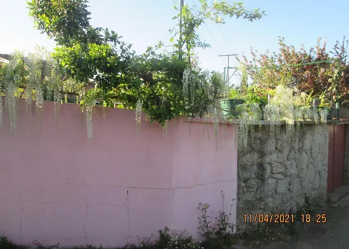 Pessego - Al Gospodarstwo agroturystyczne Arouca